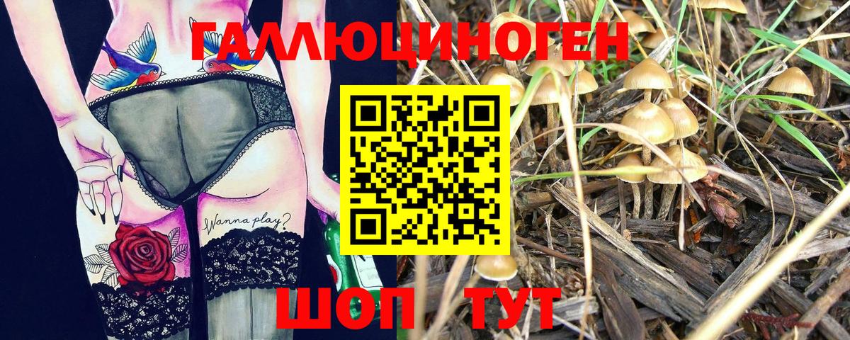 Псилоцибиновые грибы мухоморы  Псилоцибиновые грибы Psilocybe  Вход с VPN  Электрогорск 